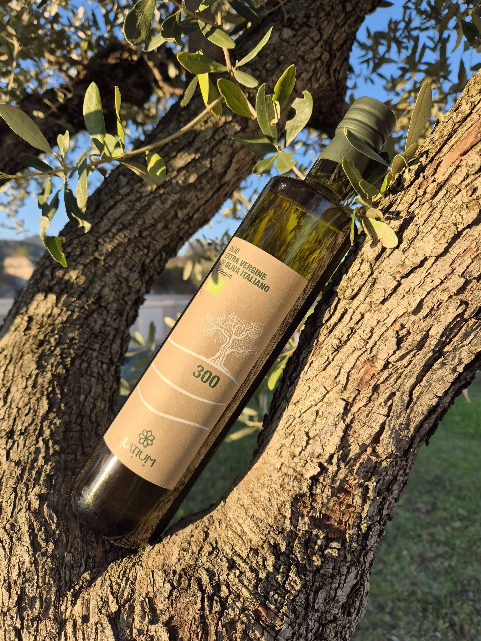 Olio e.v.o. Biologico 