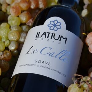 Ilatium Morini - Soave Doc Le Calle