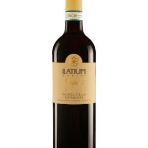 Valpolicella Superiore Doc, Vino Prognai Ilatium Morini, Vini, vini verona, vigneto