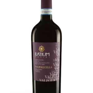 Valpolicella Biologico Doc, Vino Valpolicella Ilatium Morini, Vini, vini verona, vigneto