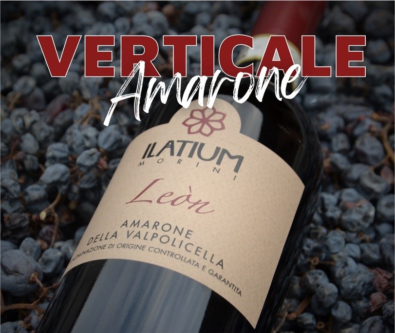 Verticale Amarone - Gennaio 2026