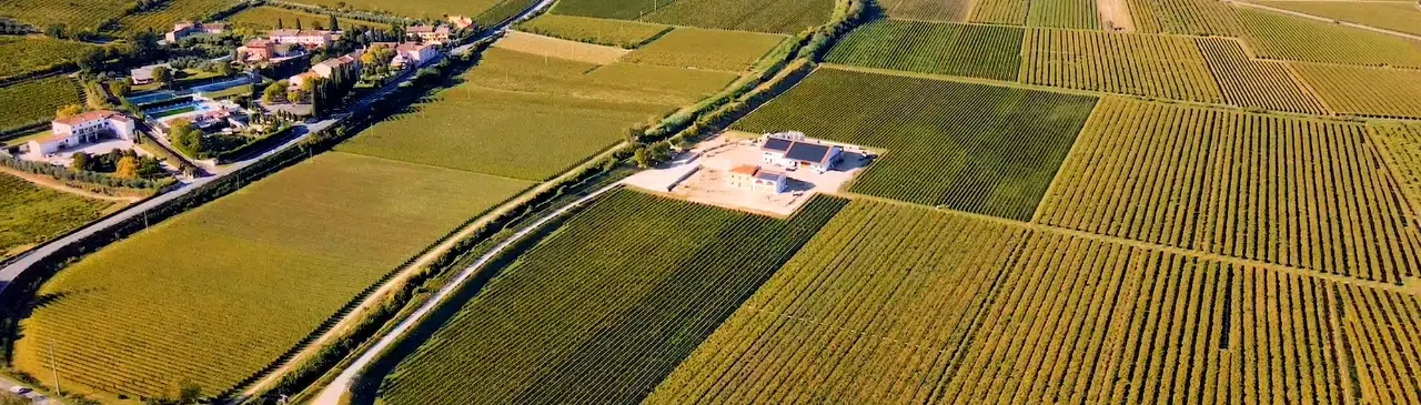 SOCIETA' AGRICOLA LATIUM S.S. DI MORINI CARLO E MORINI PIEGIORGIO — foto 5